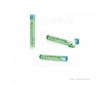 Essence Fermeté Tonifiante 403 Maria Galland - Ligne Soin Silhouette SPA - Flacon 10 x 15ml